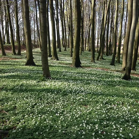 Hof Uhleck Am Koenigsstuhl * Lohme