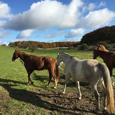 Hof Uhleck Am Koenigsstuhl Appartamento *