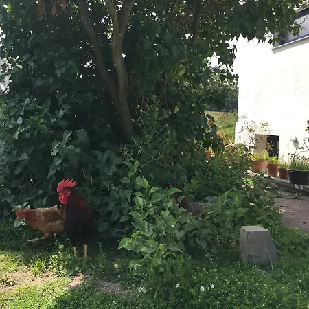 Hof Uhleck Am Koenigsstuhl Lohme