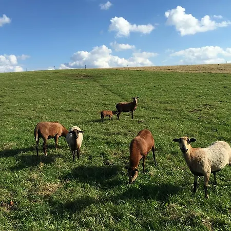 Hof Uhleck Am Koenigsstuhl * Lohme